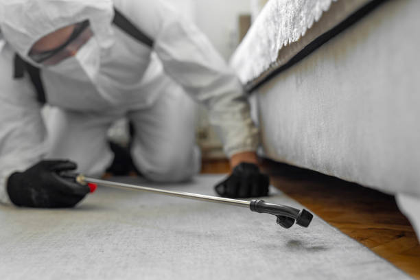 Professional Ant Control technician working in Myrtle Grove, FL
