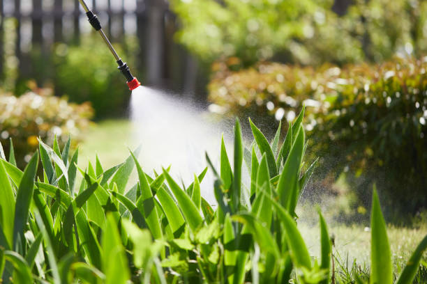 24/7 Emergency Ant Control experts in Myrtle Grove, FL